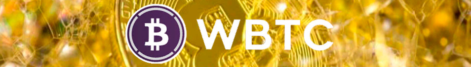 Wrapped Bitcoin (WBTC): курс, цена и обзор монеты