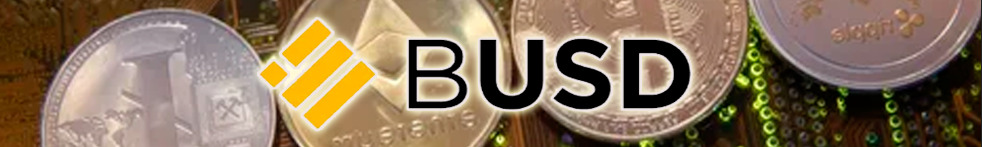 Binance BUSD: курс, цена и обзор монеты
