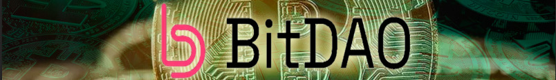 BitDAO (BIT): курс, цена и обзор монеты